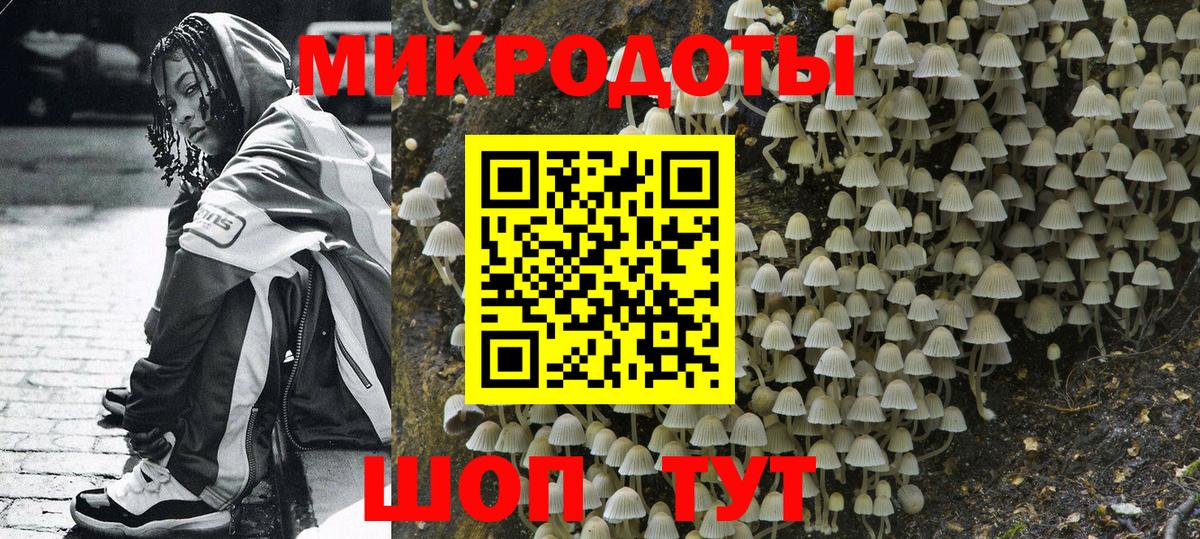 Псилоцибиновые грибы Psilocybe  Вход с VPN  Сатка 
