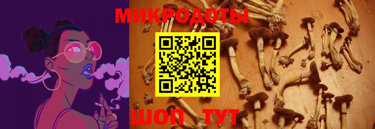 Галлюциногенные грибы Magic Shrooms Сатка